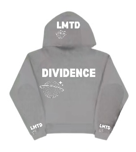 Dividence Hoodie : Grey